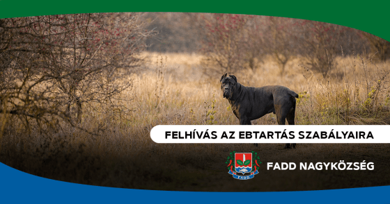 Felhívás az ebtartás szabályaira