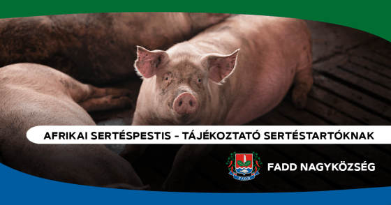 Afrikai sertéspestis (ASP) – tájékoztató sertéstartóknak
